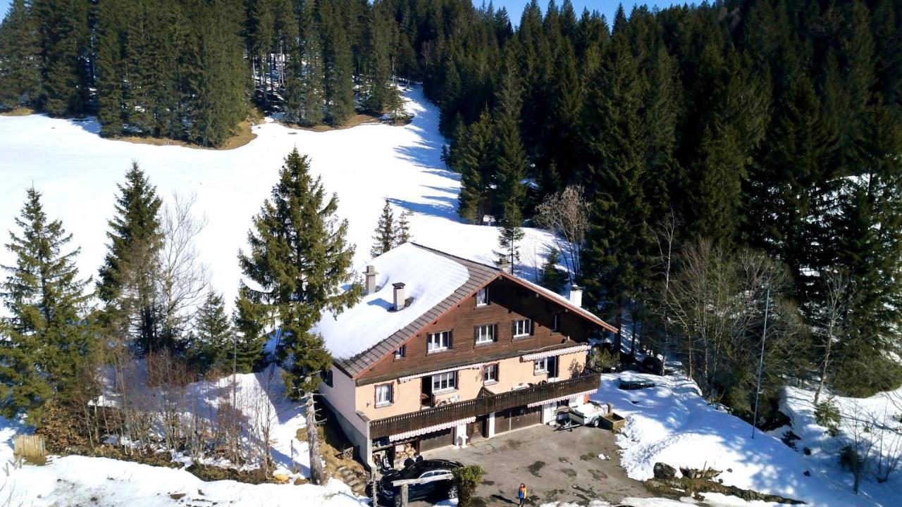 Saentisecho - In Der Natur Zu Hause Urnäsch Esterno foto